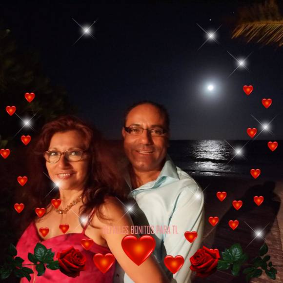 Meet your Posher, Rosa elisa - Picture 1 of 1